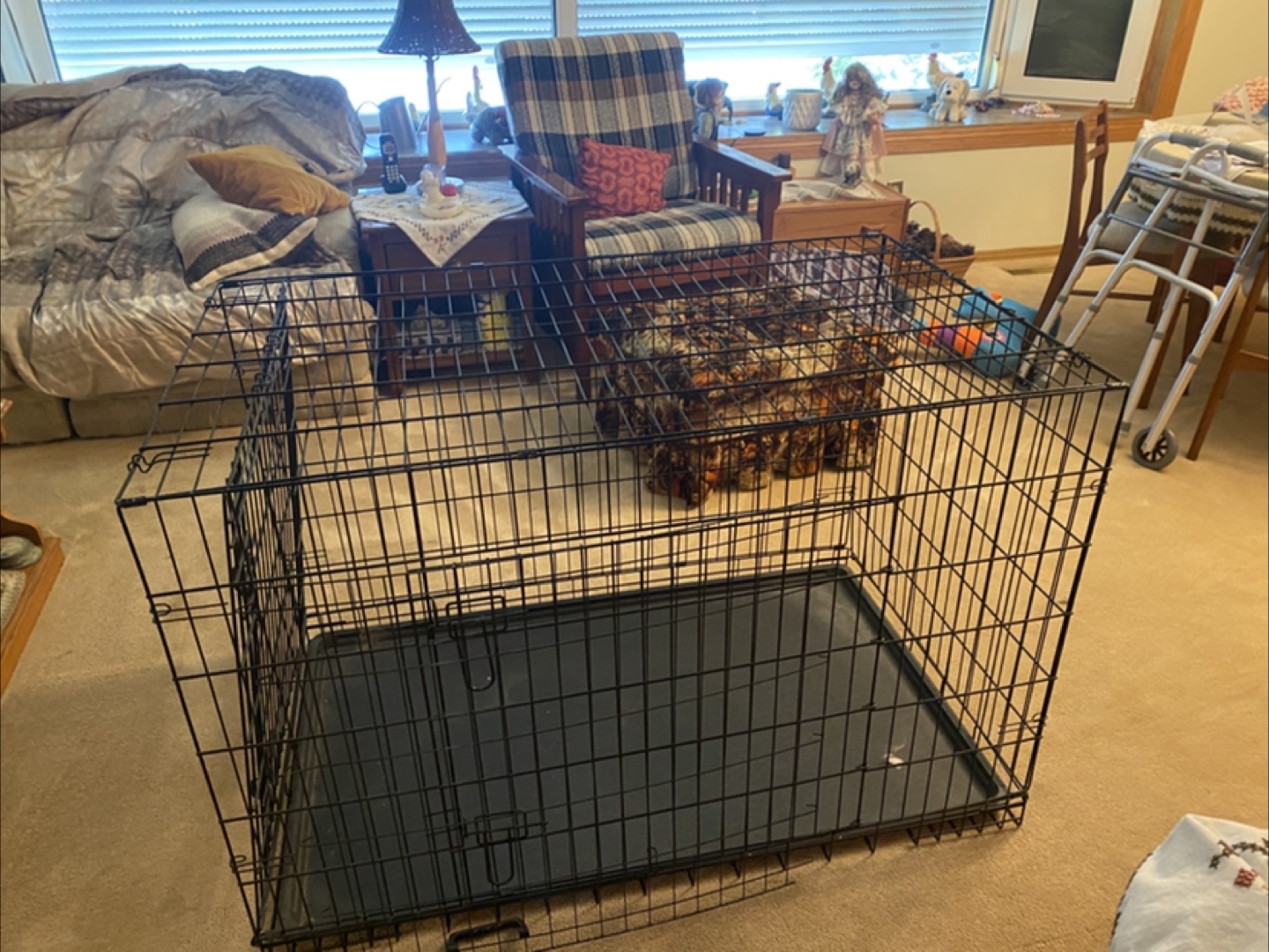 Large Black Dog Crate - photo 2