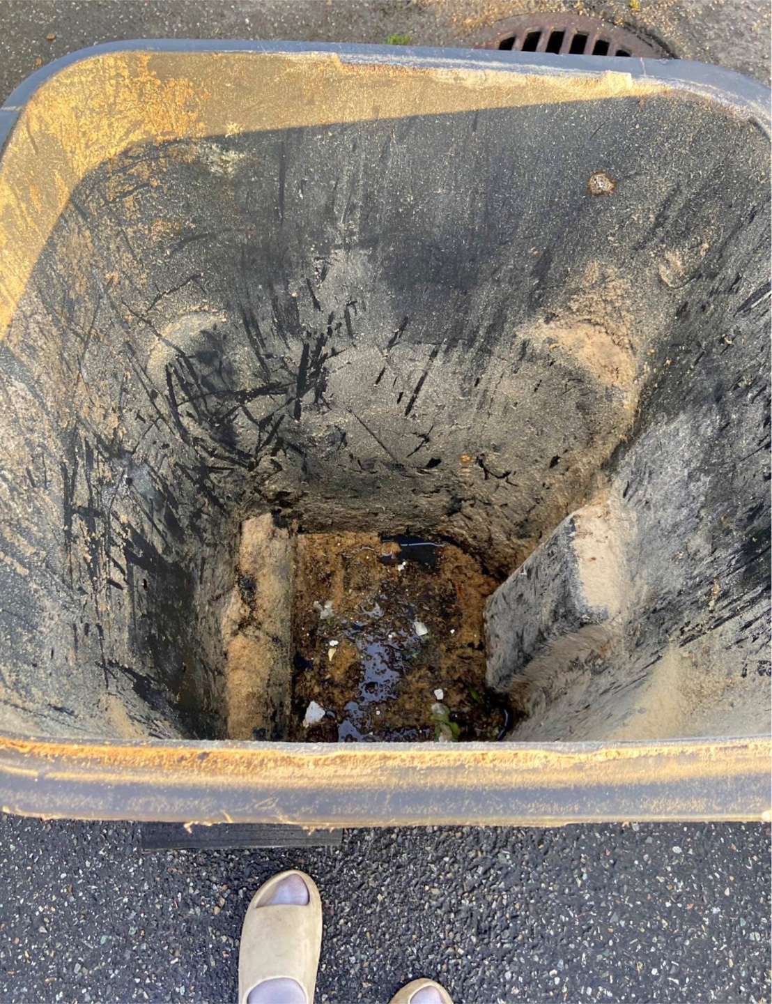 Garbage Bin Cleaning - photo 2