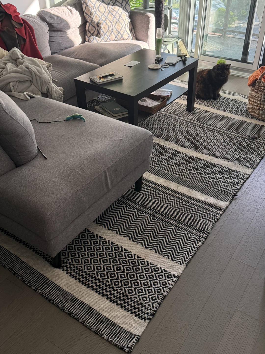 MOVING SALE - MUST GO ‼️