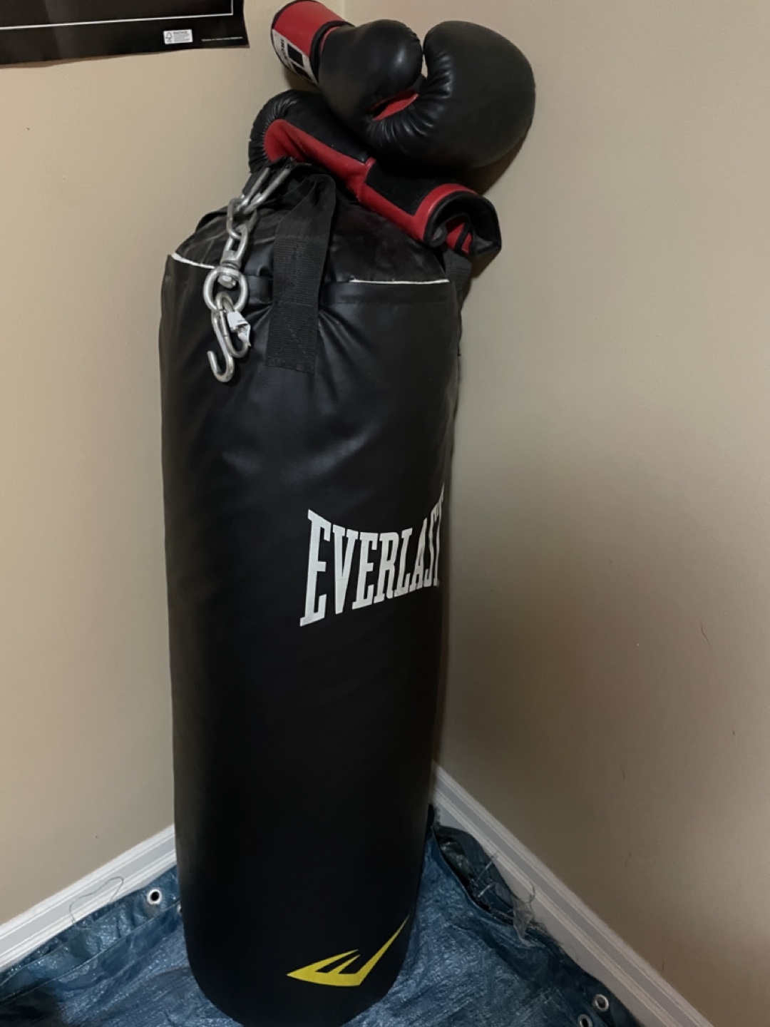Everlast Heavy Bag with Boxing Gloves