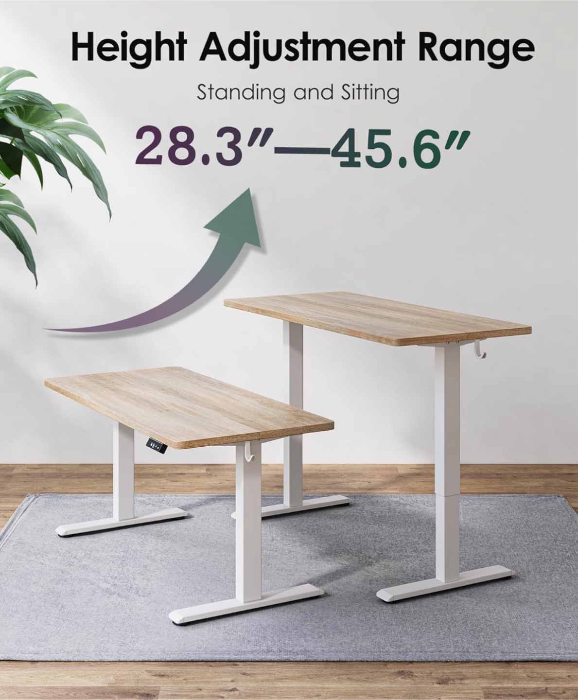 Electric Standing Desk - Height Adjustable