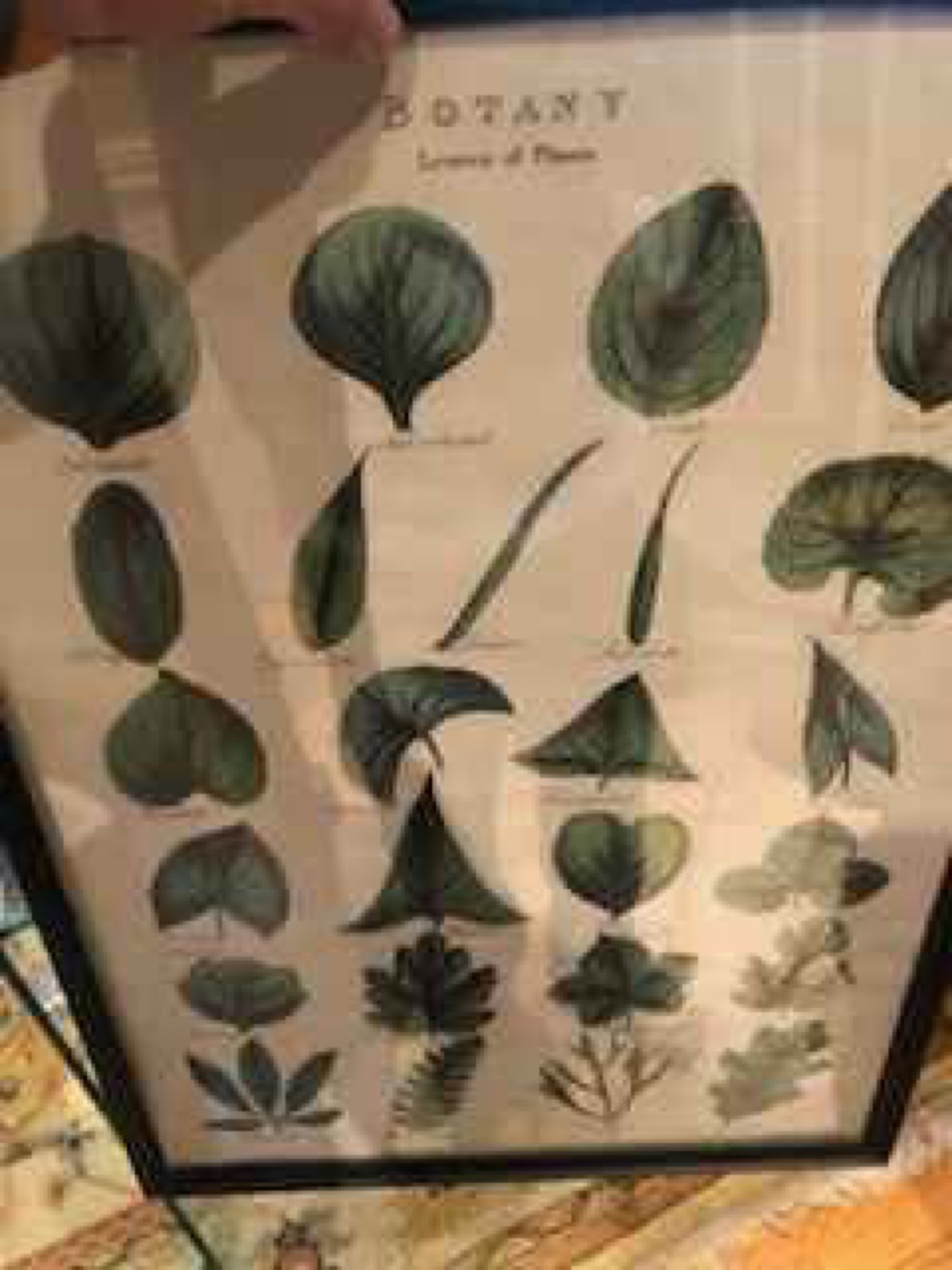 Framed Prints - - photo 3