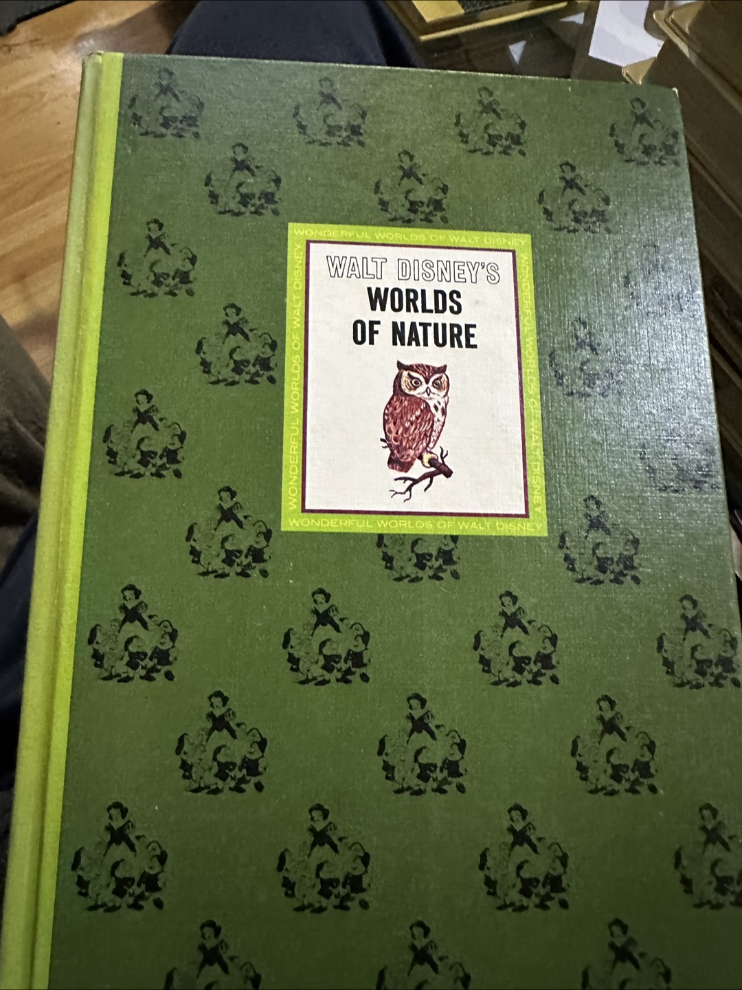 Vintage Walt Disney's Wonderful Worlds Book Set (4 Volumes) - photo 4