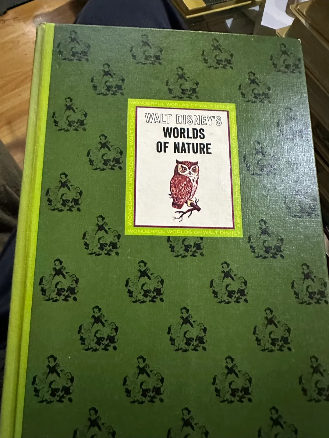 Vintage Walt Disney's Wonderful Worlds Book Set (4 Volumes) image indicator(4)