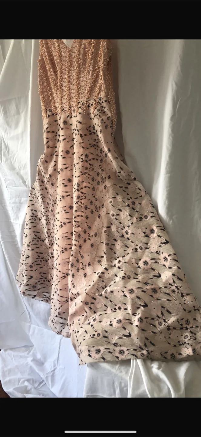 Peach Beaded A-line Dress image indicator(2)