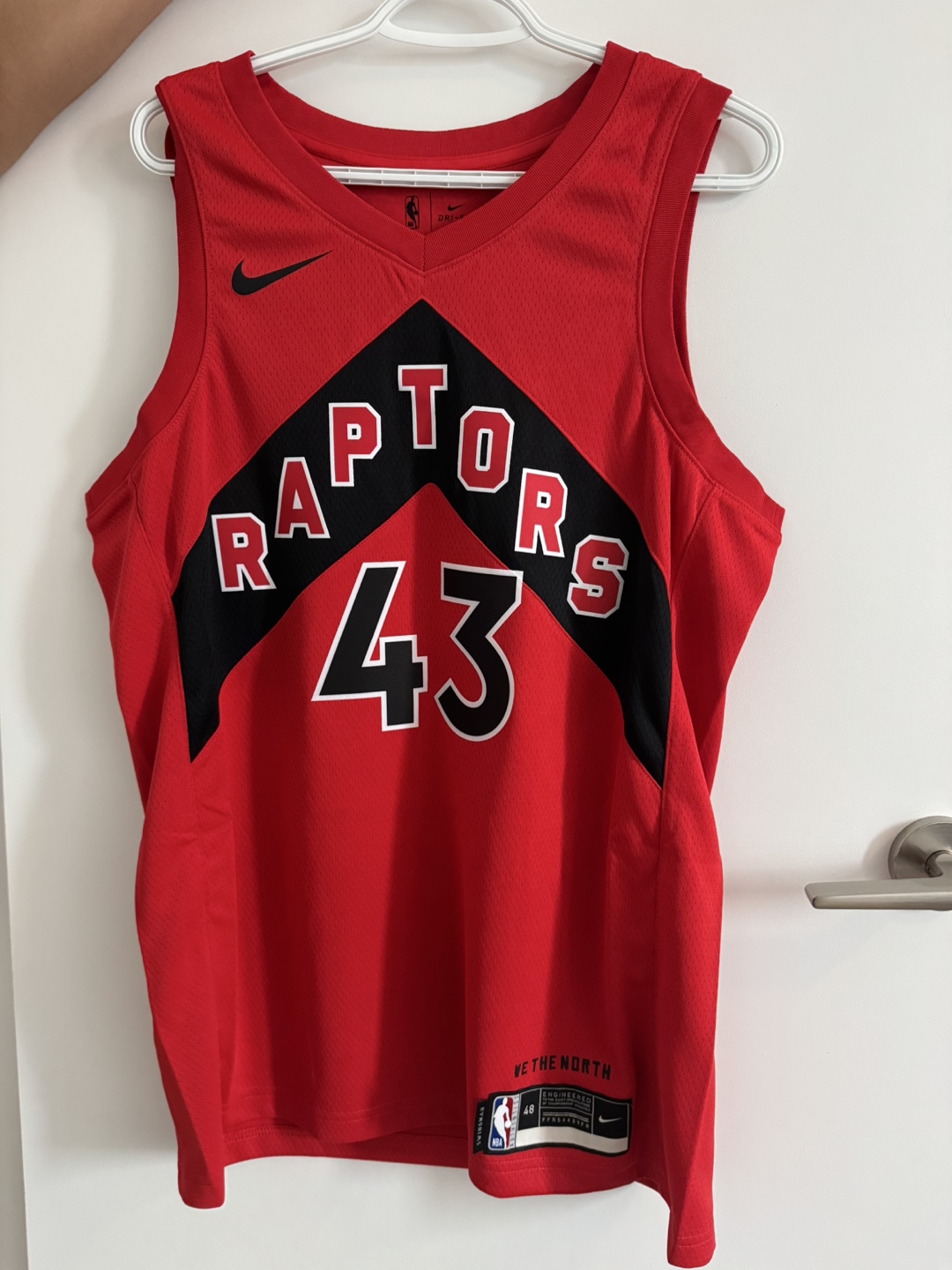 Toronto Raptors Pascal Siakam #43 Jersey