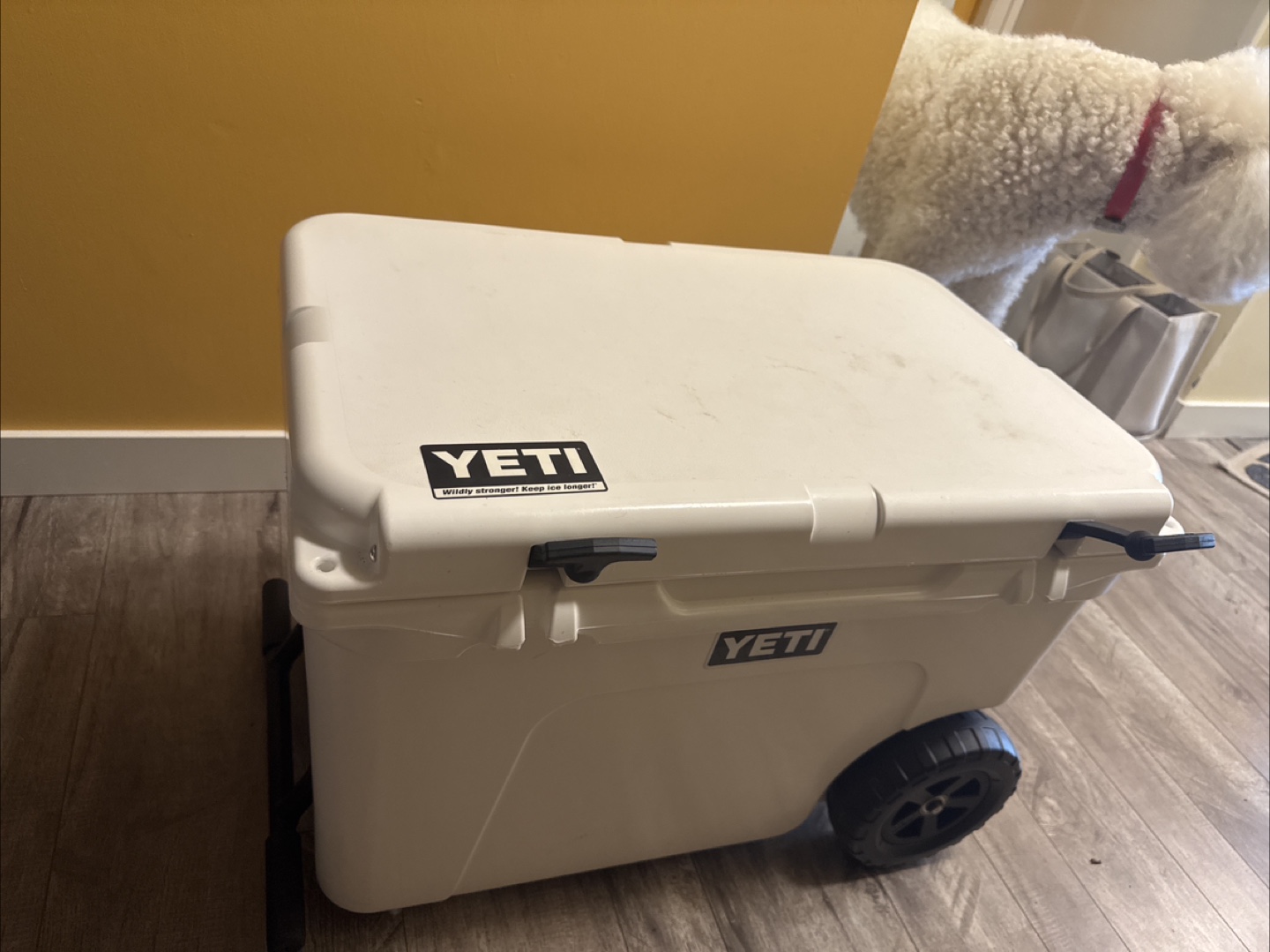 YETI Roadie 24 Wheeled Hard Cooler - photo 4