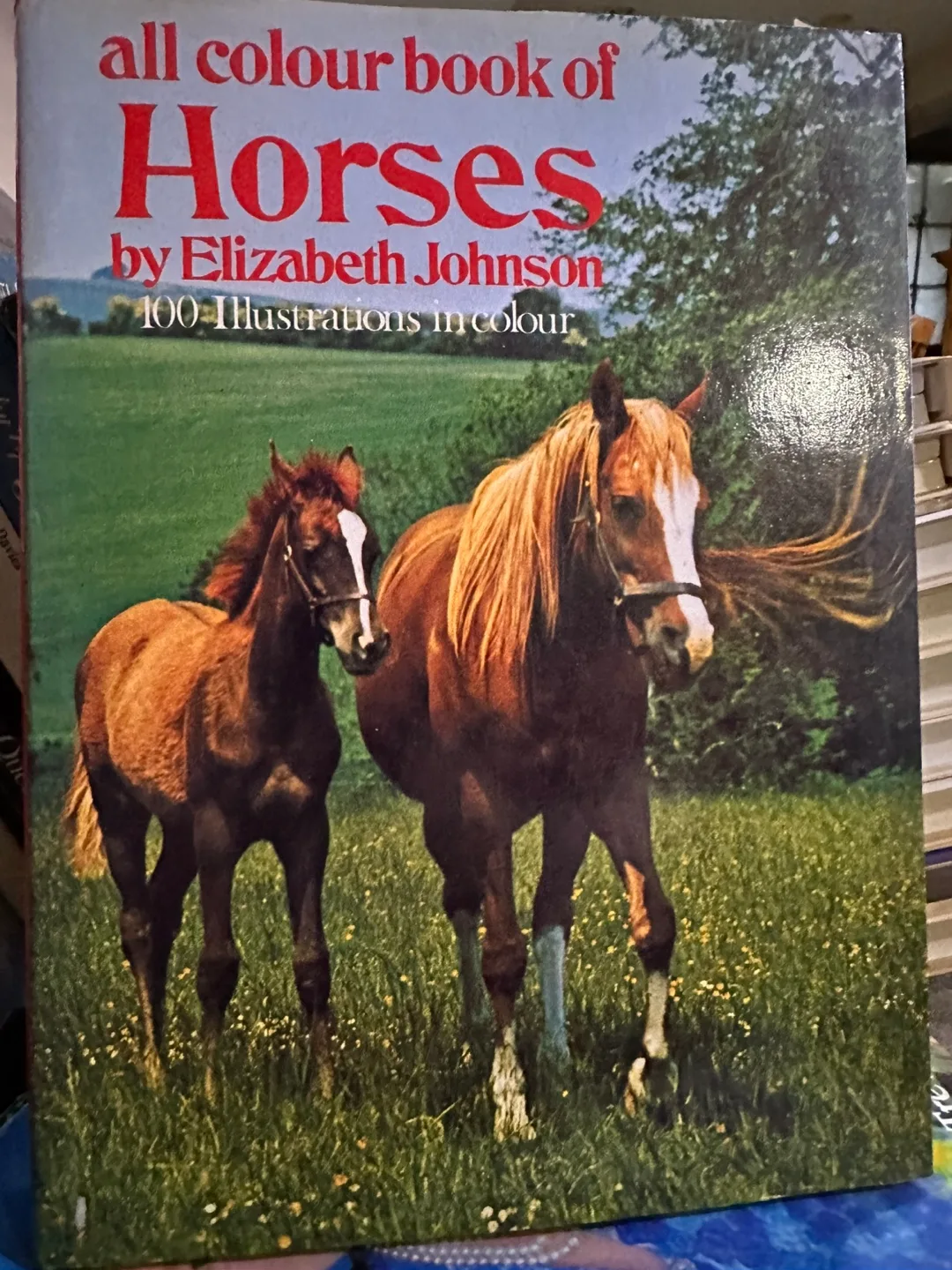 Vintage All Colour Book of Horses by Elizabeth Johnson thumbnail