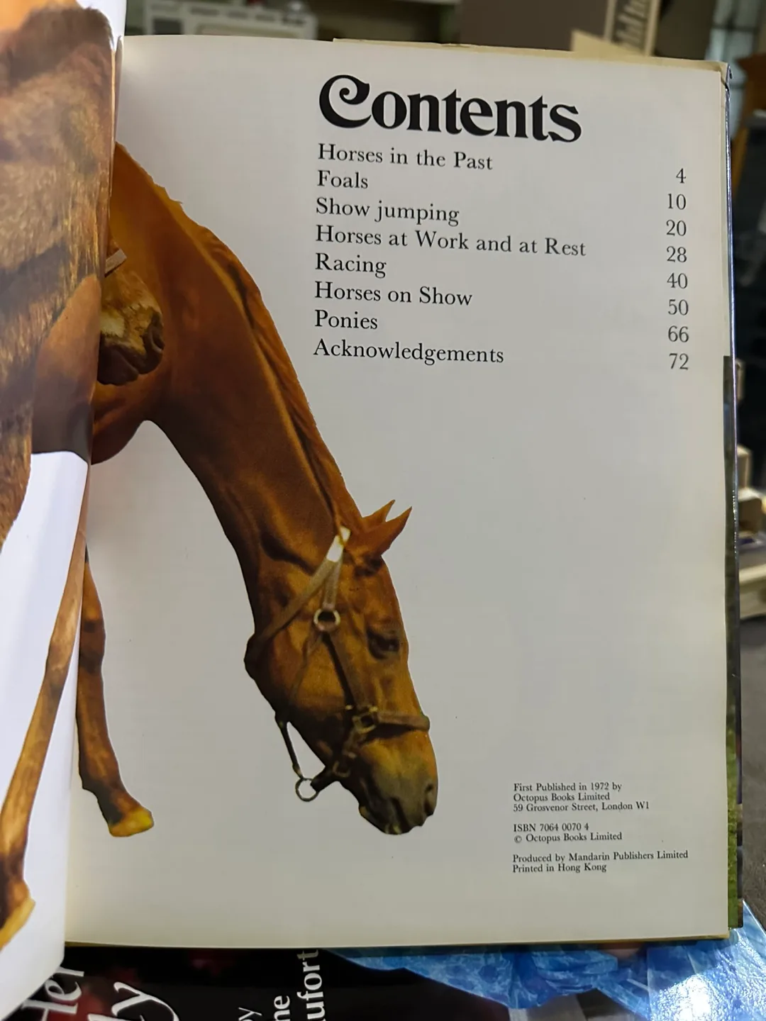 Vintage All Colour Book of Horses by Elizabeth Johnson image indicator(3)