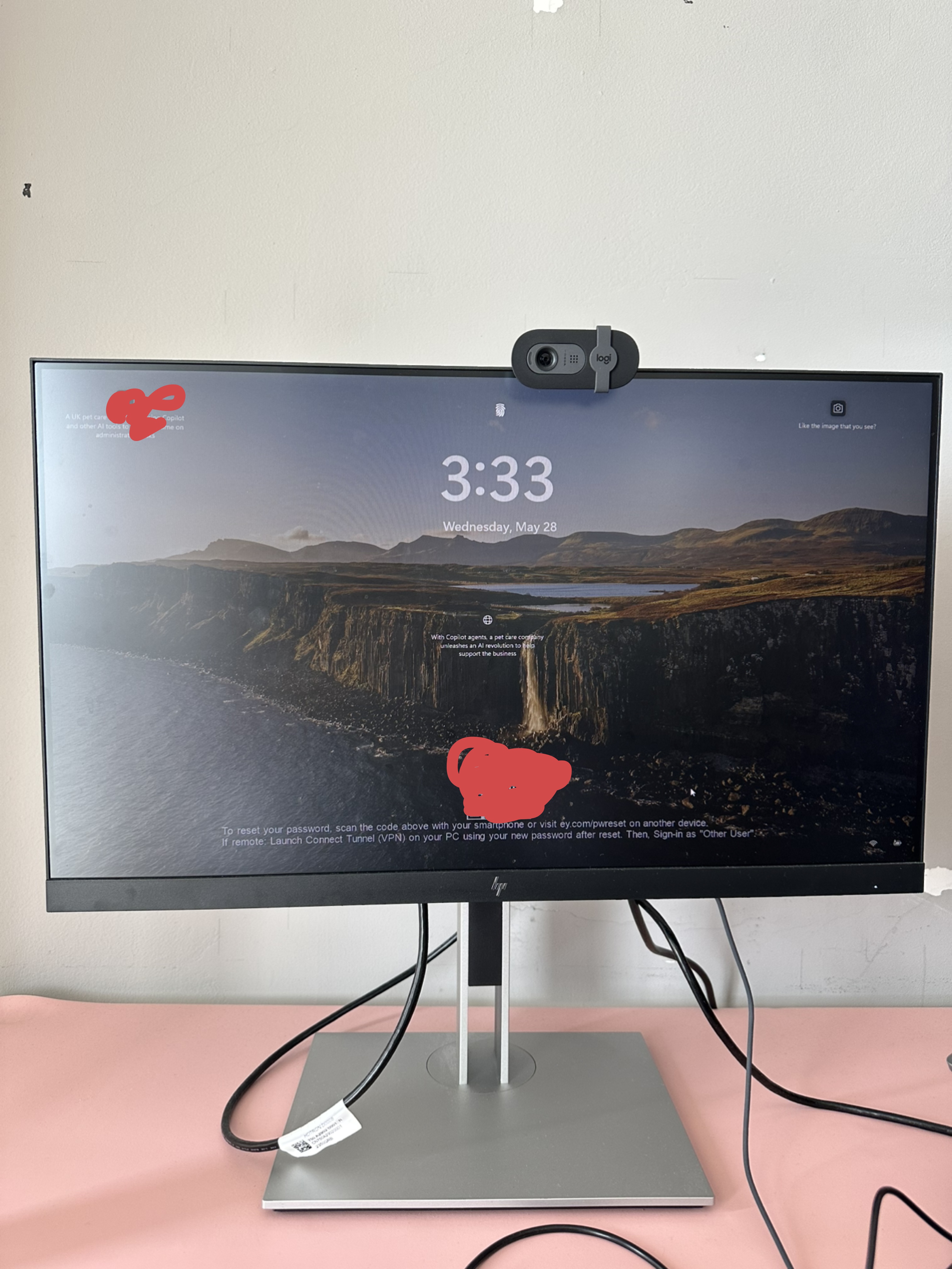 HP Monitor