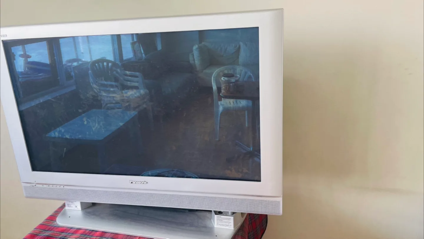 Panasonic Flat Screen TV 42” thumbnail