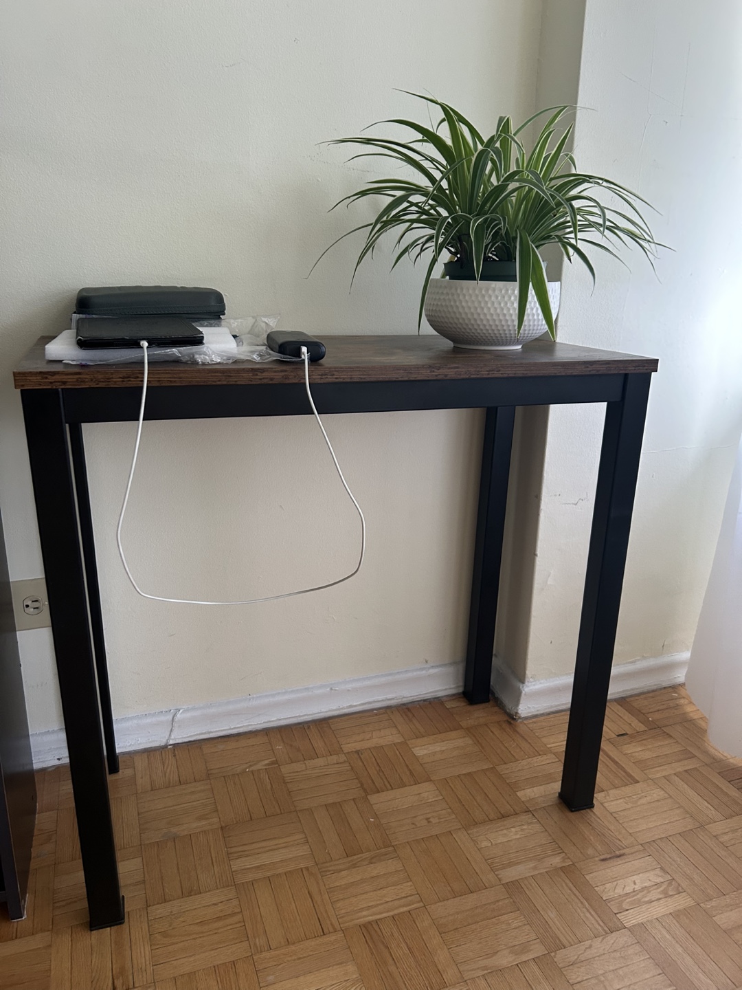 Modern Console Table – Compact & Stylish (Plant Not for Sale) - photo 3