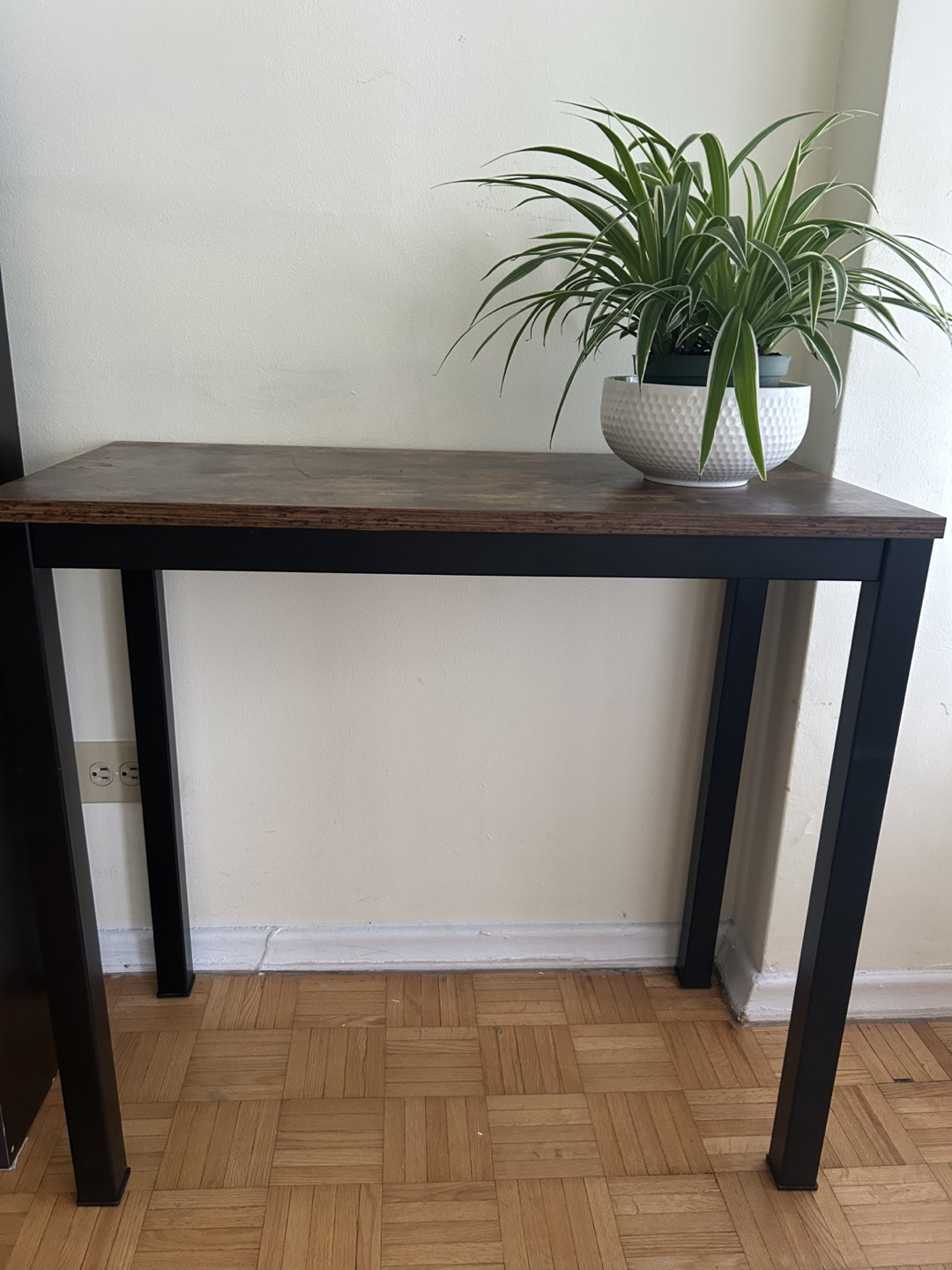 Modern Console Table – Compact & Stylish (Plant Not for Sale) - photo 2