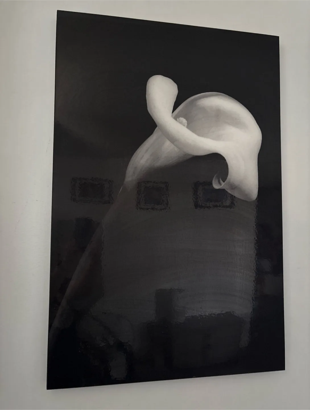 Large Calla Lily Black and White Metal Print