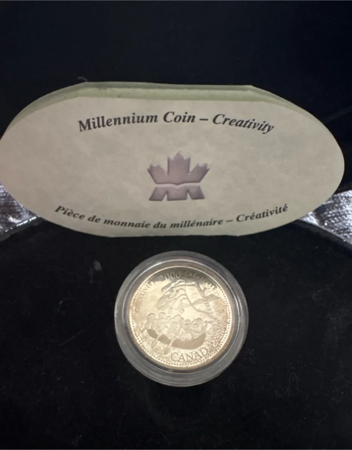 2000 Canadian Millennium Creativity Coin