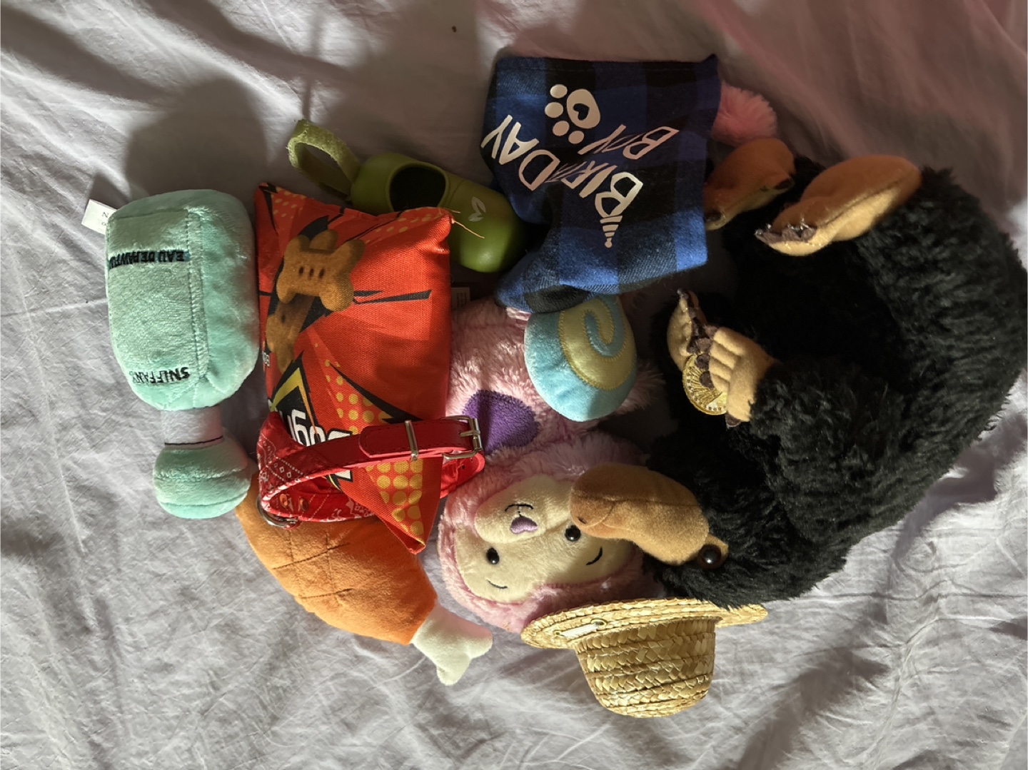 Dog Toy Bundle - Birthday bandana, plushies, and more!