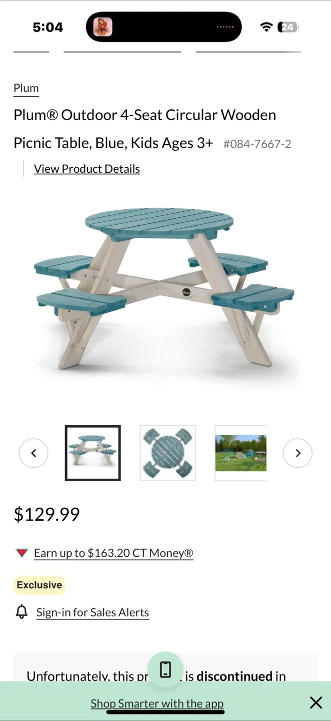 Plum® Outdoor 4-Seat Circular Wooden Picnic Table, Blue image indicator(4)