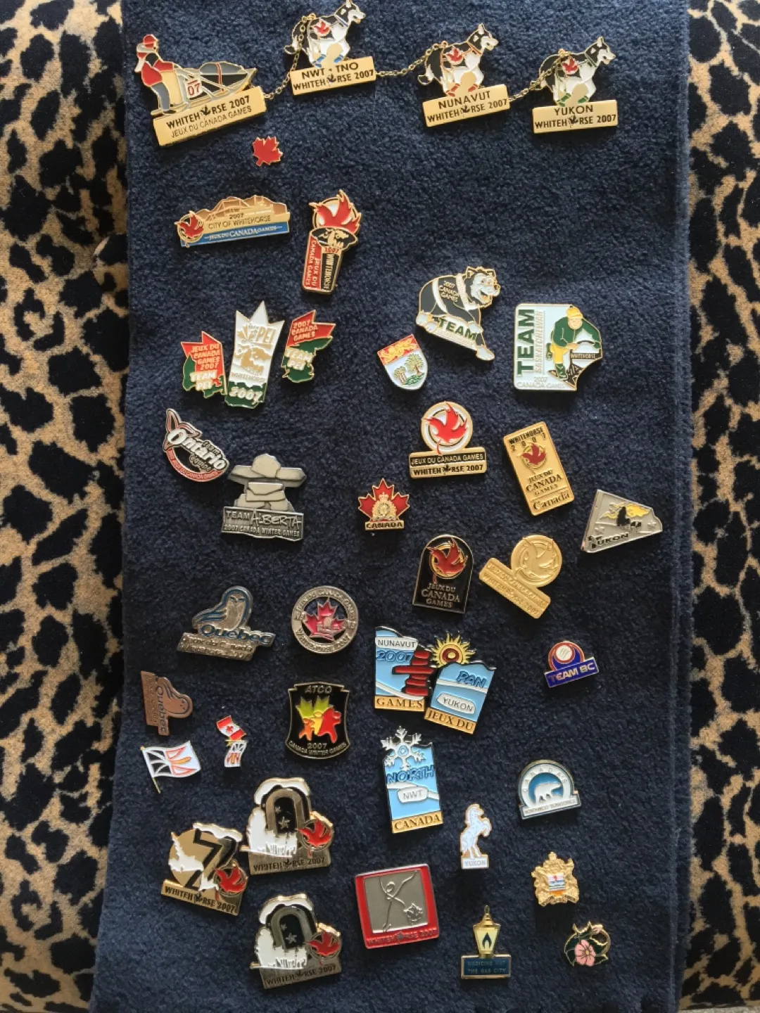 Canada Winter Games 2007 collector’s pins (individual/lot) thumbnail