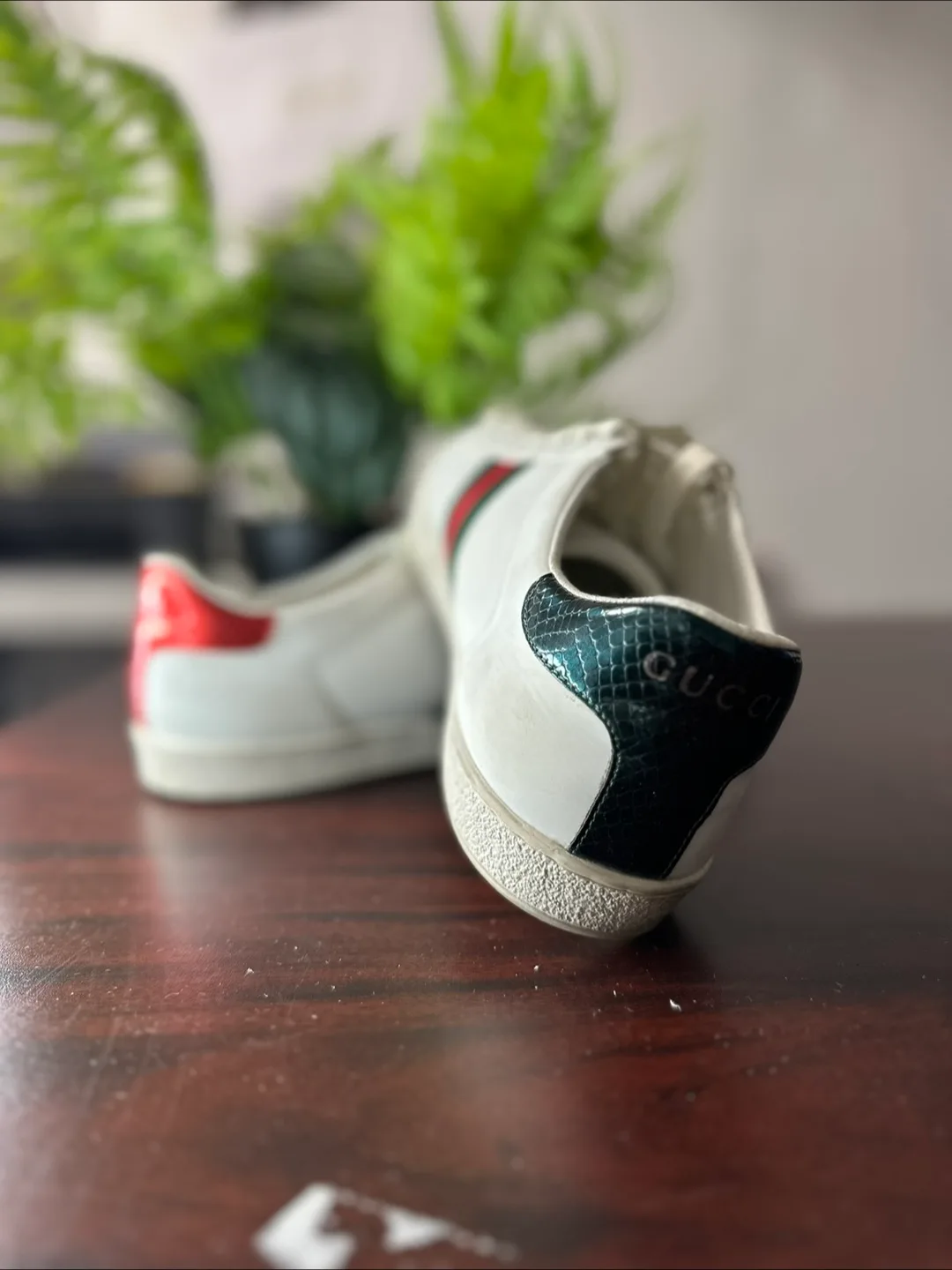 Authentic Gucci Ace Sneakers - White Leather with Bee image indicator(2)