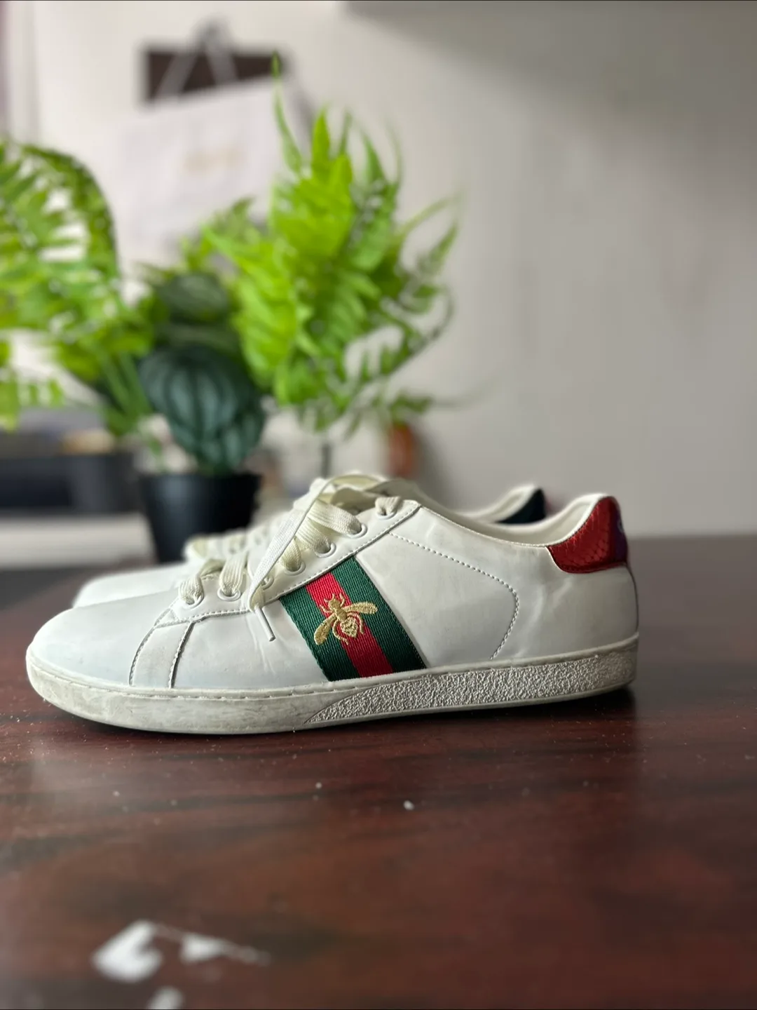 Authentic Gucci Ace Sneakers - White Leather with Bee image indicator(4)