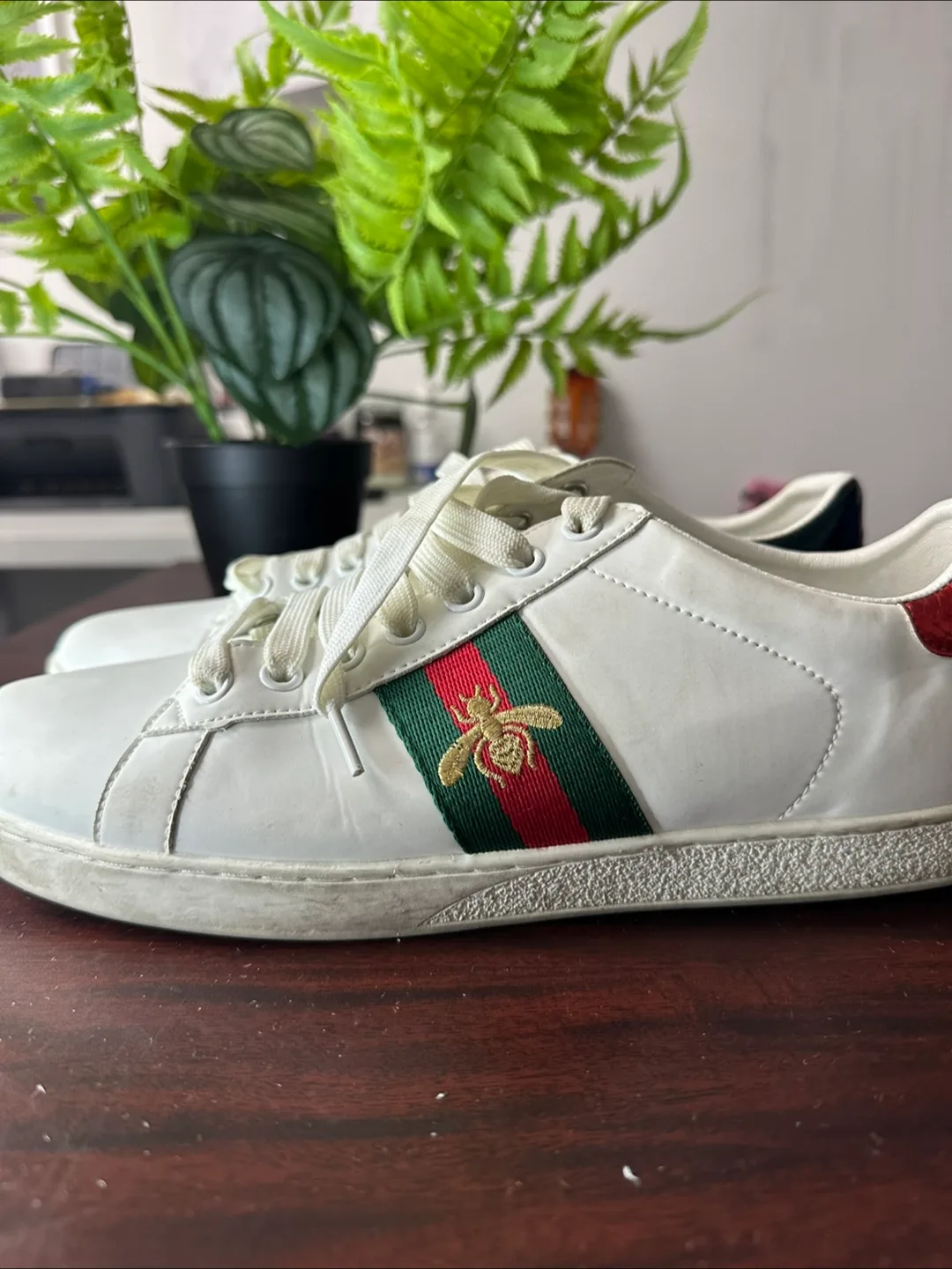 Authentic Gucci Ace Sneakers - White Leather with Bee image indicator(5)