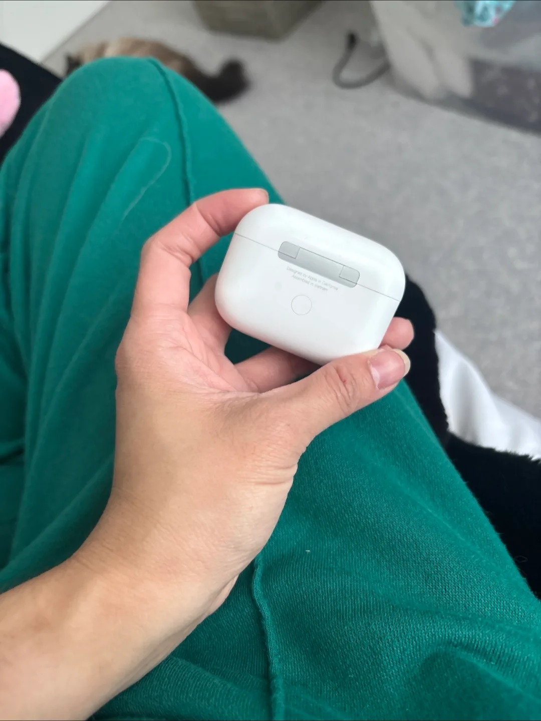 Apple AirPods Charging Case thumbnail