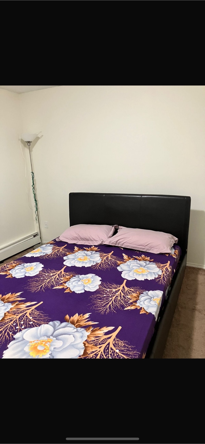 Queen bed frame with headboard