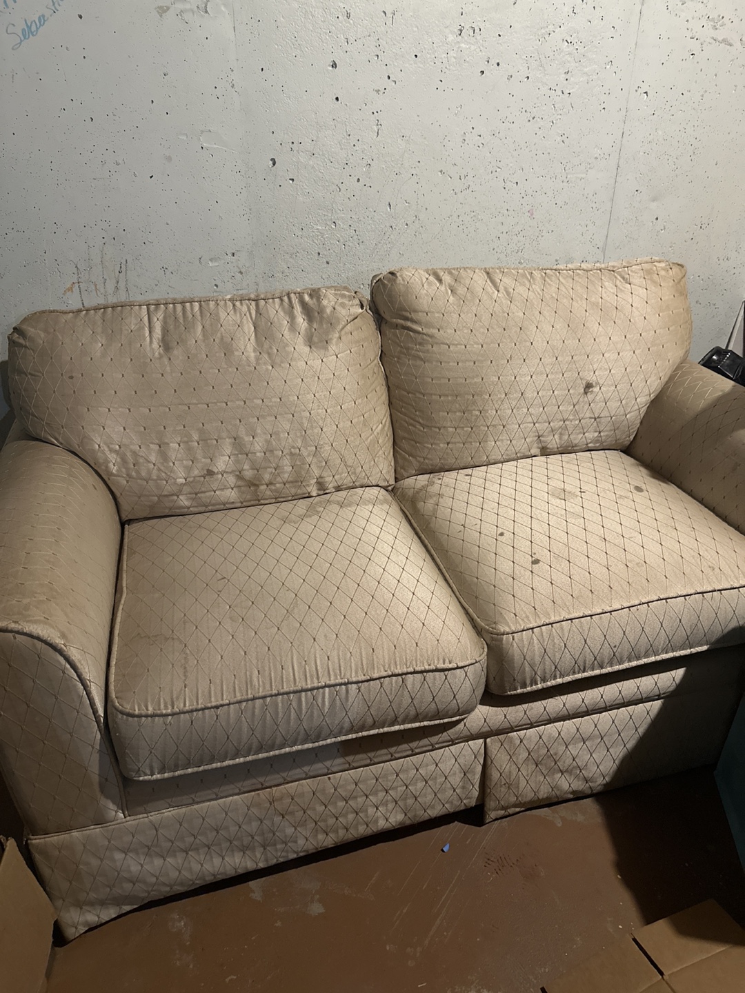 Beige Loveseat
