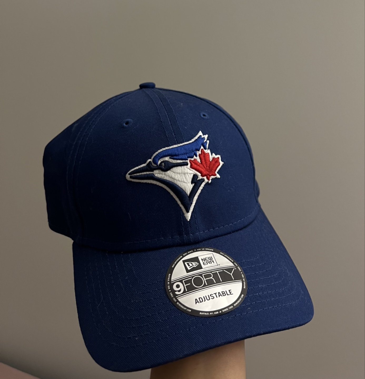Toronto Blue Jays Adjustable Hat