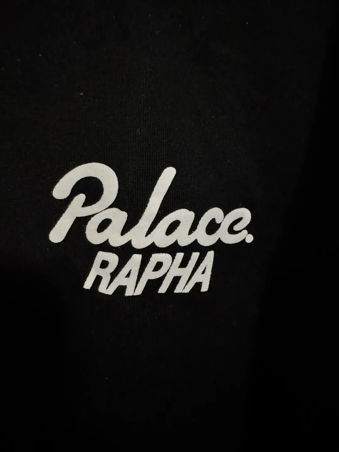 Palace x Rapha EF Educational First (XL) image indicator(4)