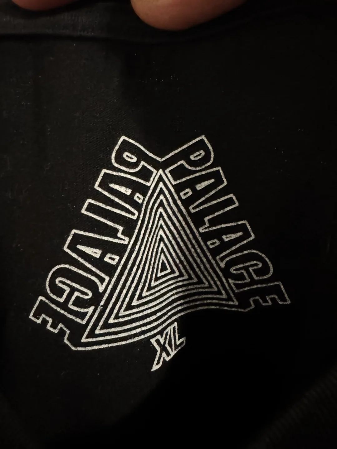 Palace x Rapha EF Educational First (XL) image indicator(8)