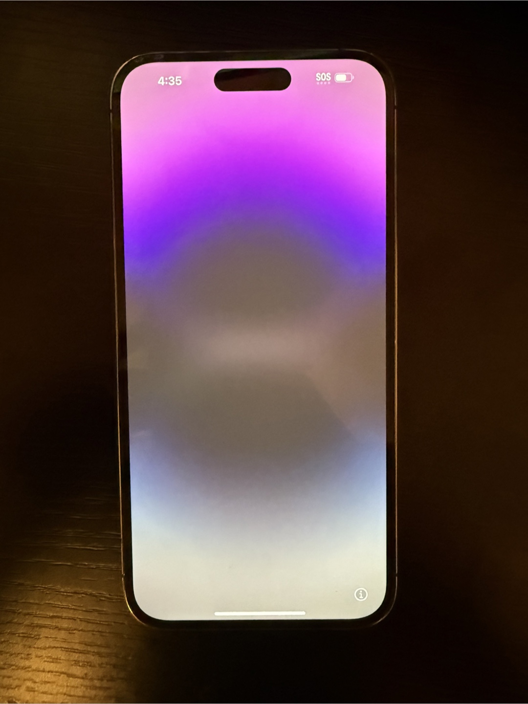 iPhone 14 Pro Max