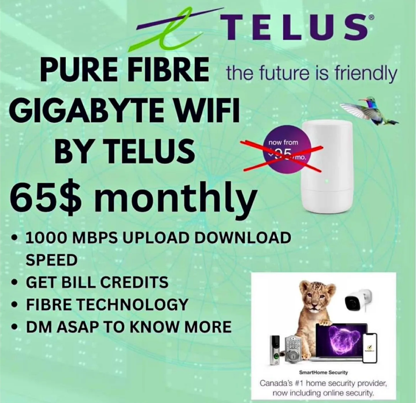 Telus Home Services Promo thumbnail