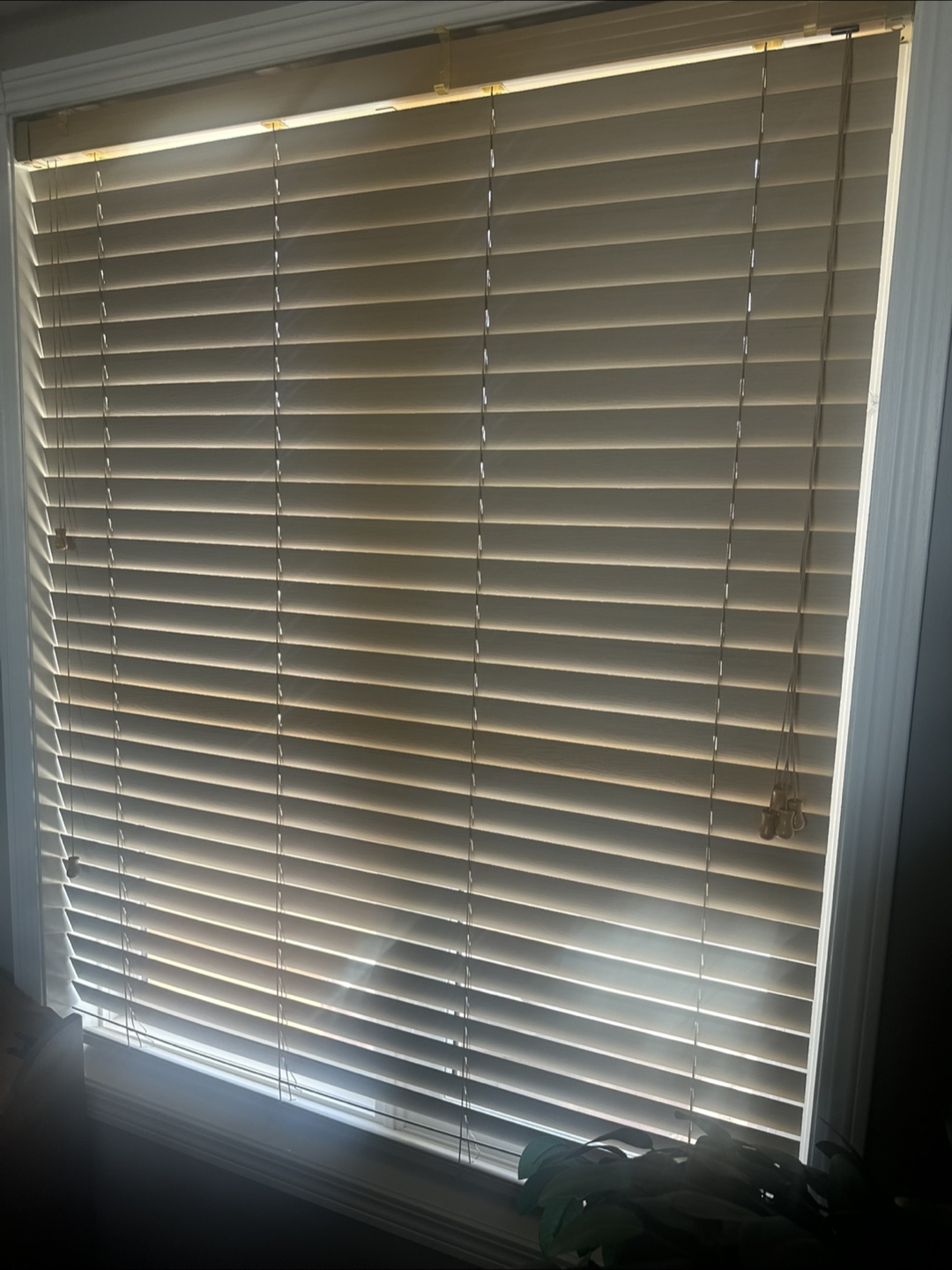 Wooden Blinds - Various Sizes - photo 2