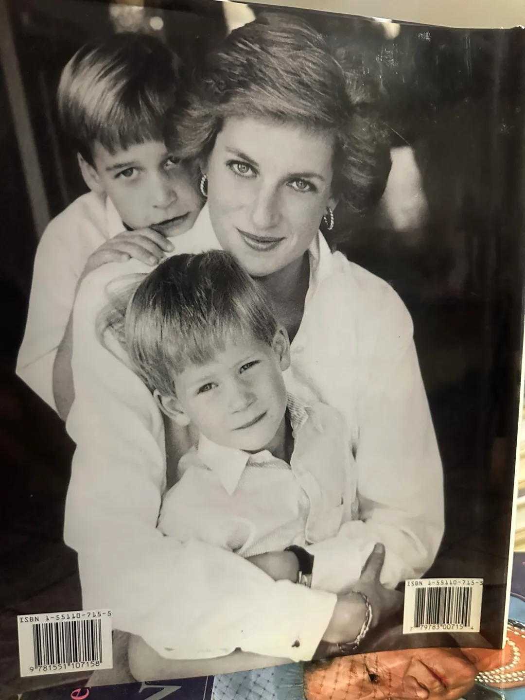 Diana: A Tribute to the People's Princess image indicator(4)