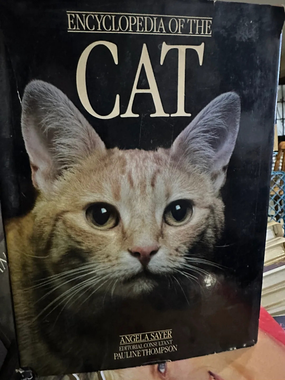Encyclopedia of the Cat thumbnail