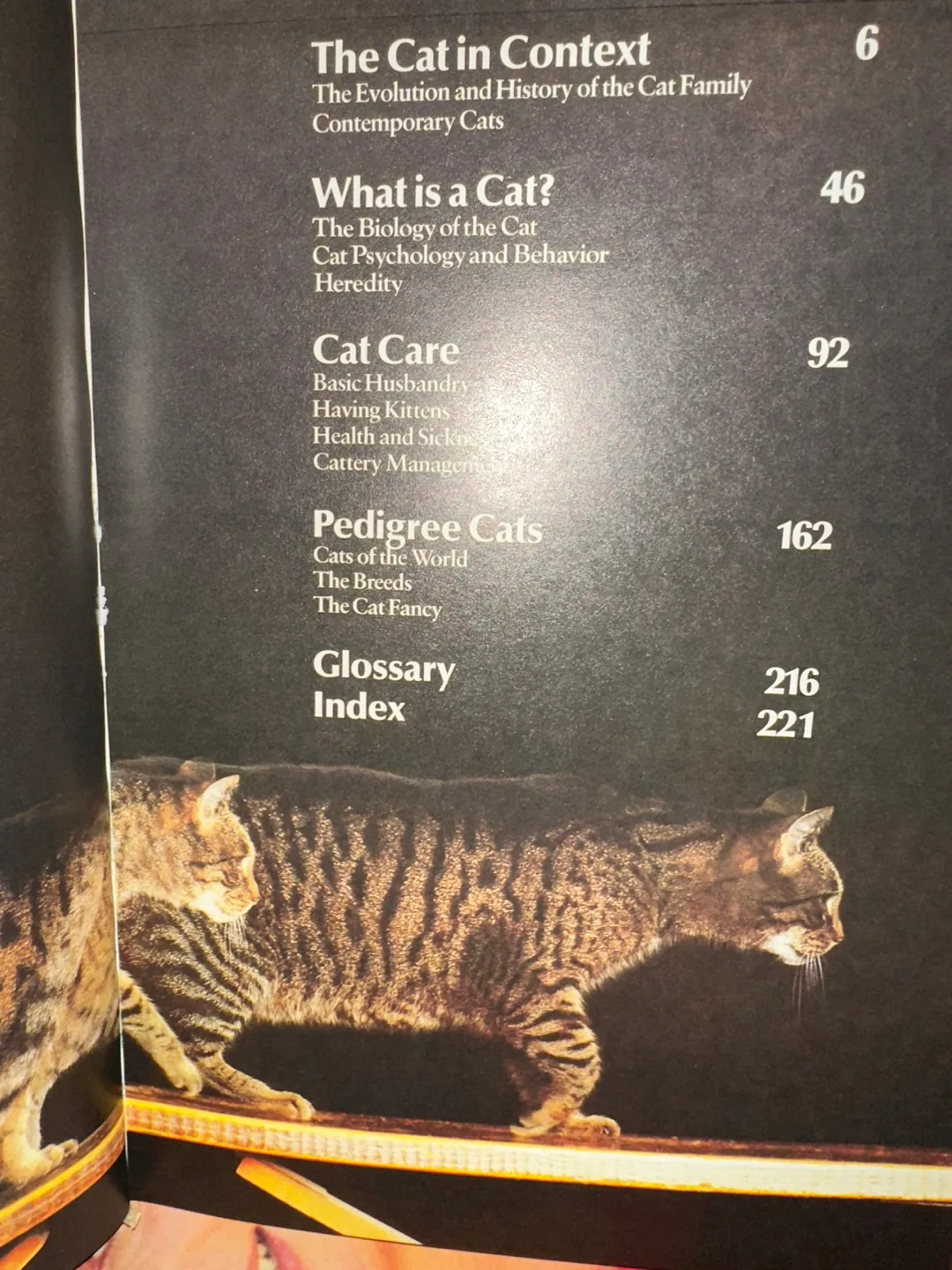 Encyclopedia of the Cat image indicator(3)