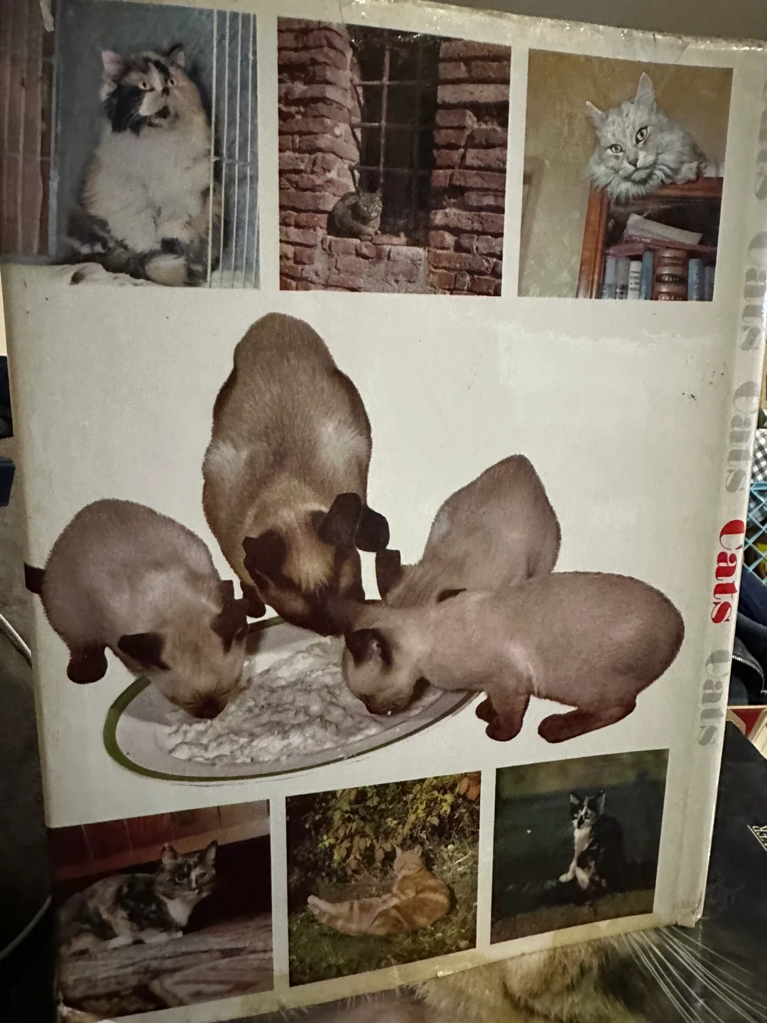 Vintage Cats Book - Cats Cats Cats image indicator(3)