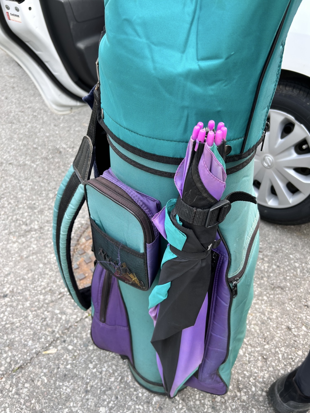 Vintage Teal and Purple Golf Bag