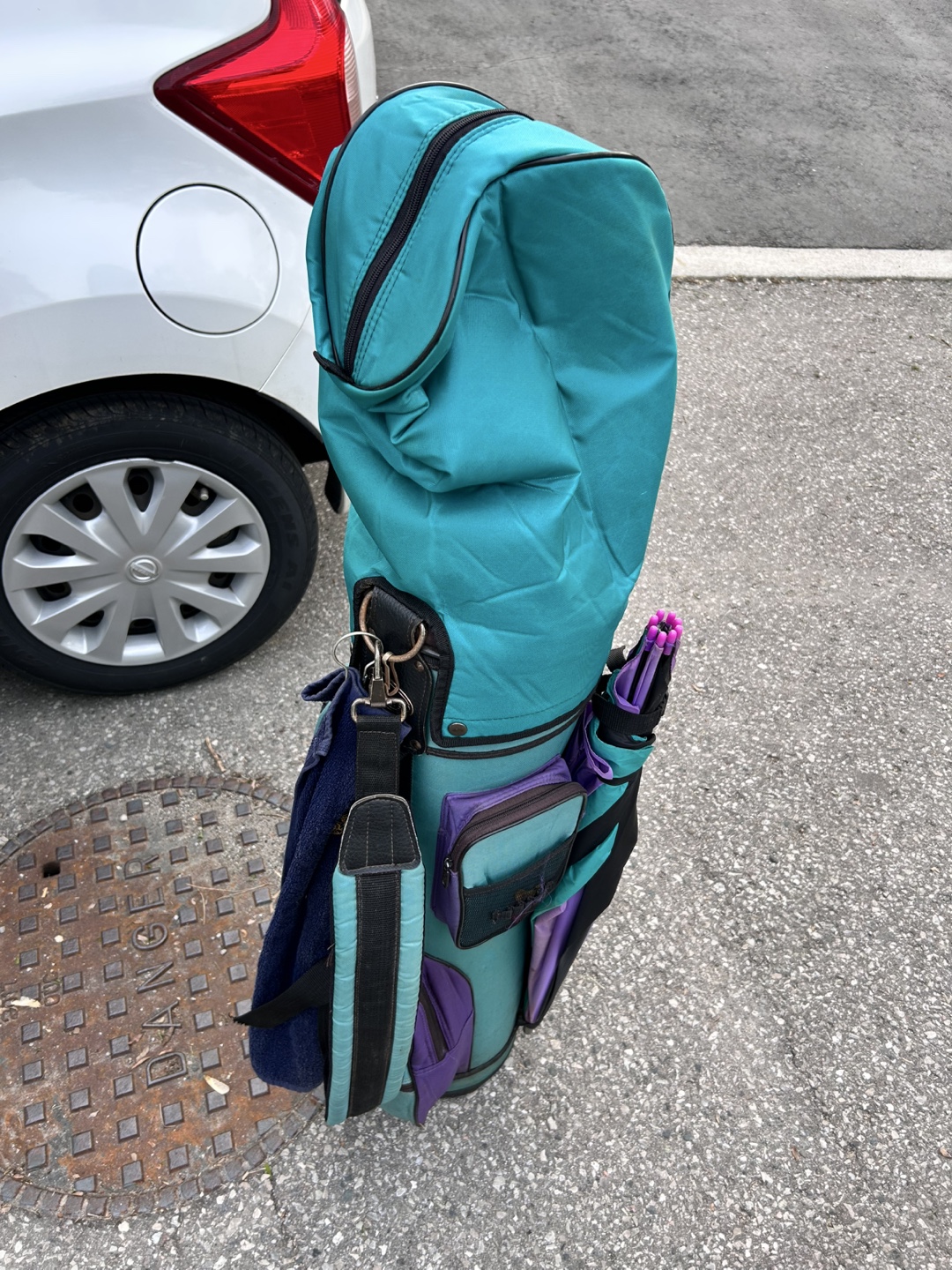Vintage Teal and Purple Golf Bag - photo 2