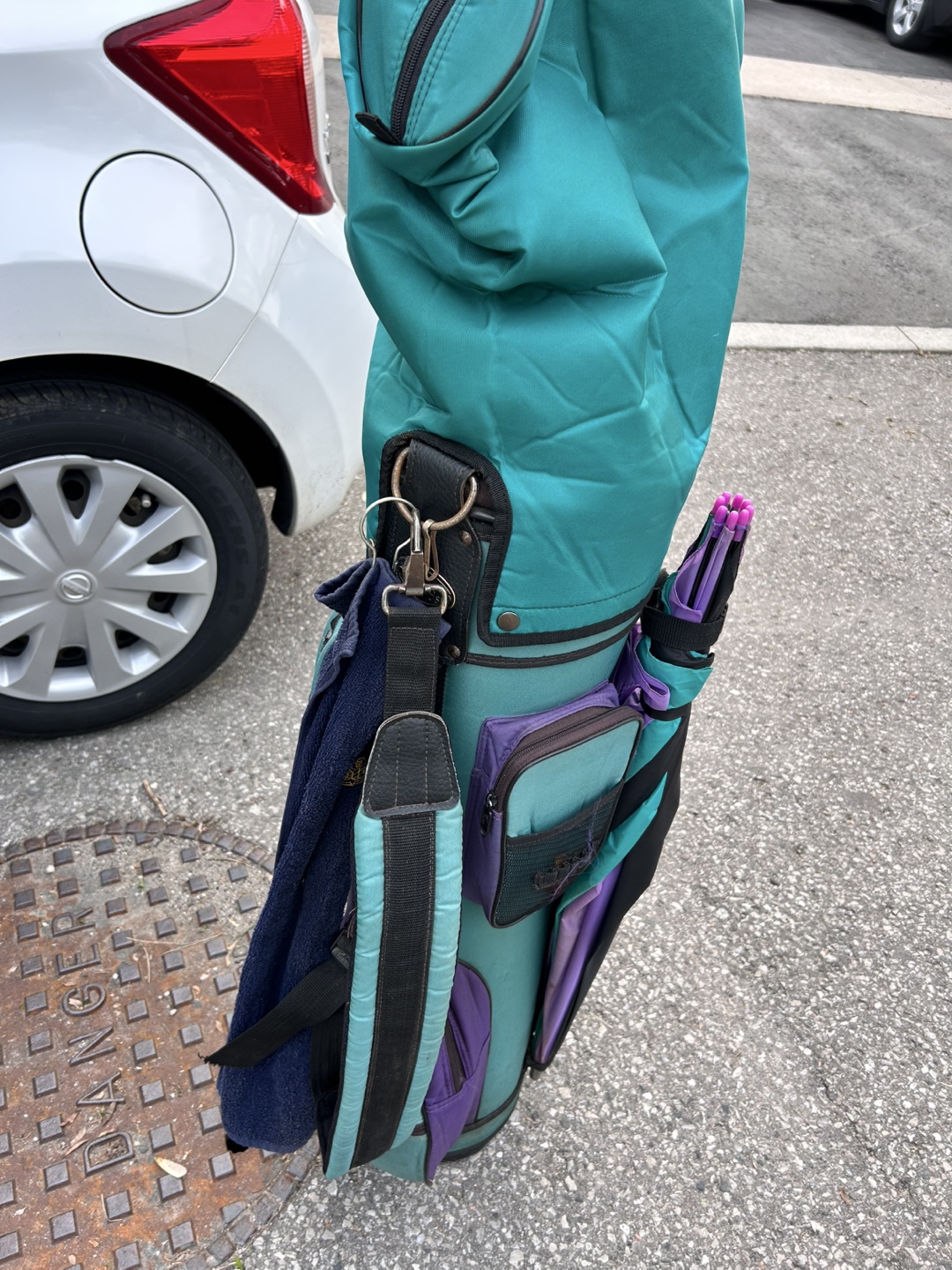 Vintage Teal and Purple Golf Bag - photo 4