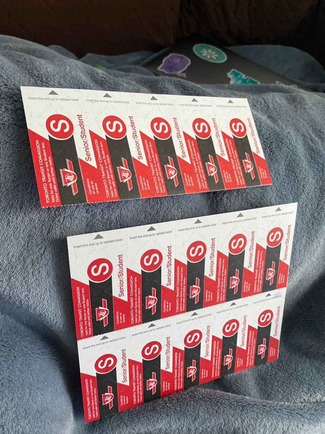 Bulk TTC Senior/Student Tokens