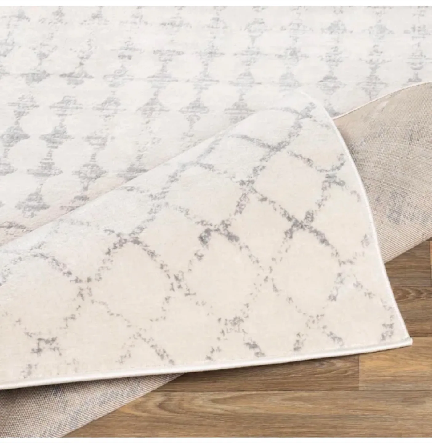 Ivory & Grey Area Rug - 5'3" x 7" image indicator(2)