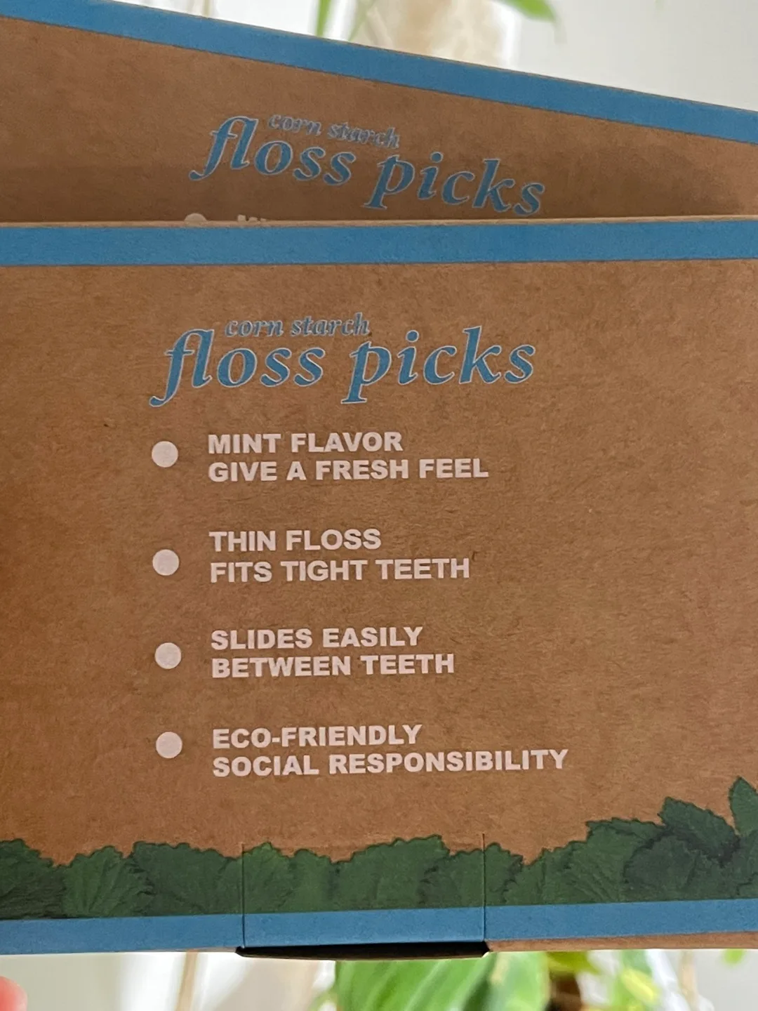 Isshah Floss Picks - Two 50-Count Boxes image indicator(2)