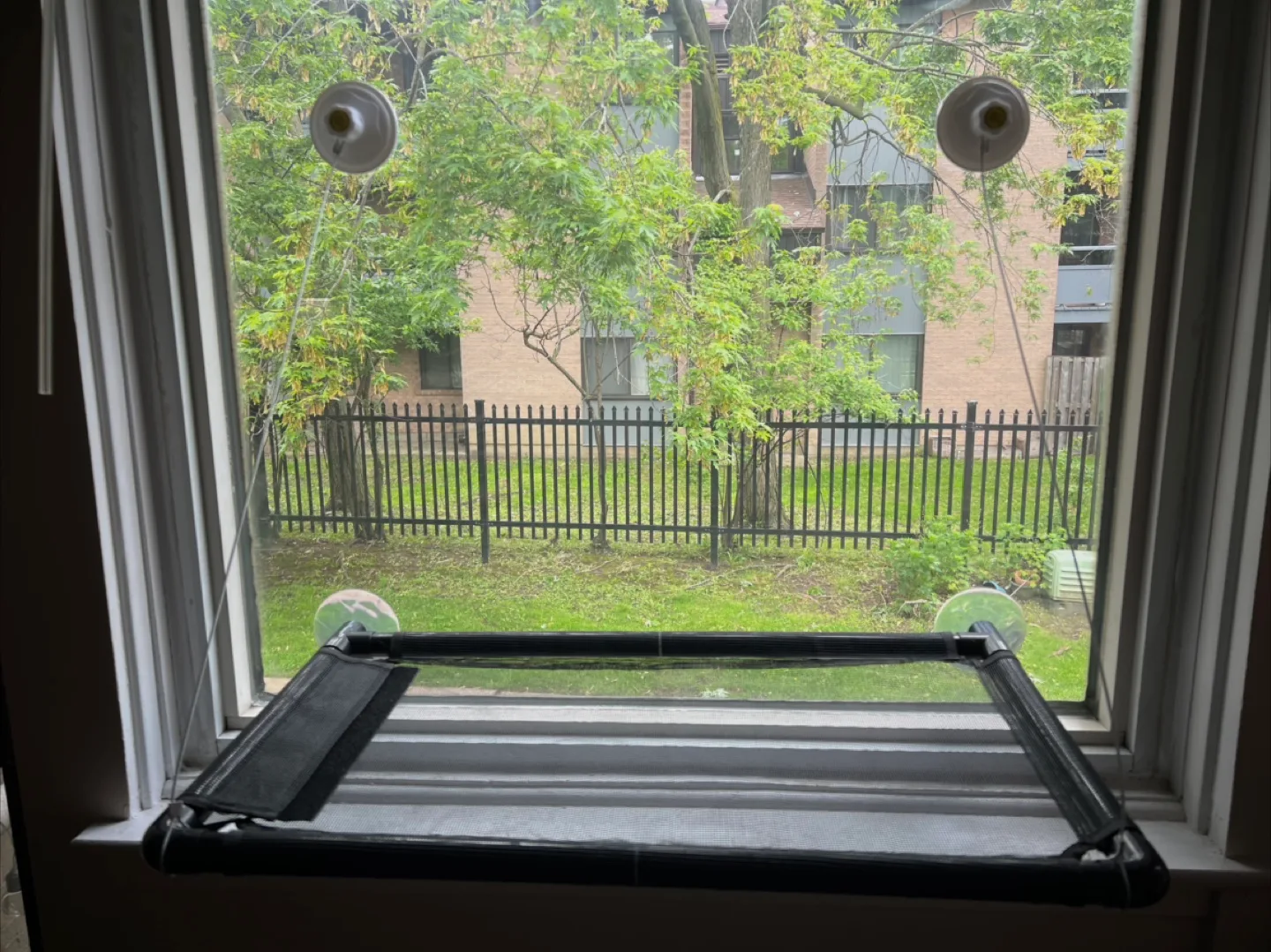 Pet Window Perch Bed Hammock image indicator(2)