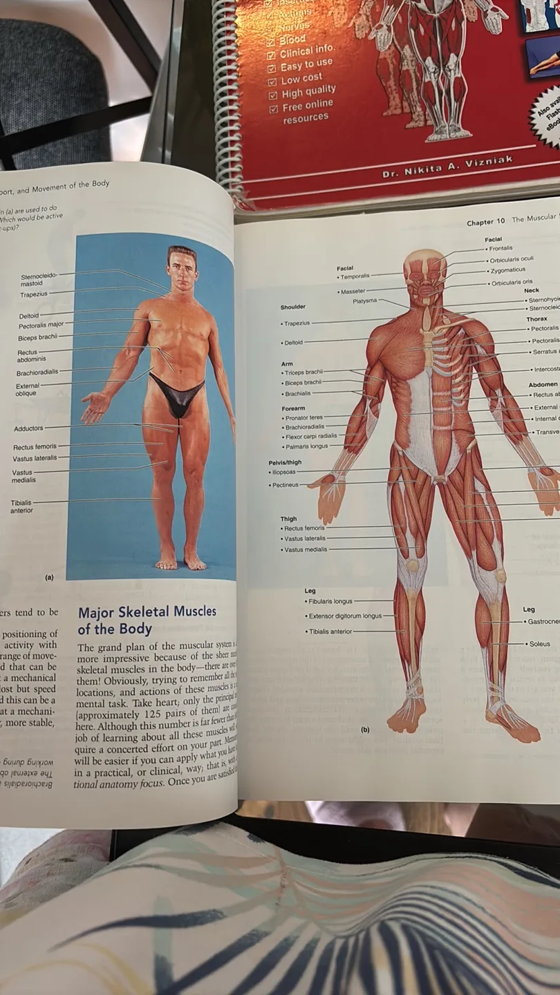 Anatomy Books Bundle and SAVE! image indicator(3)
