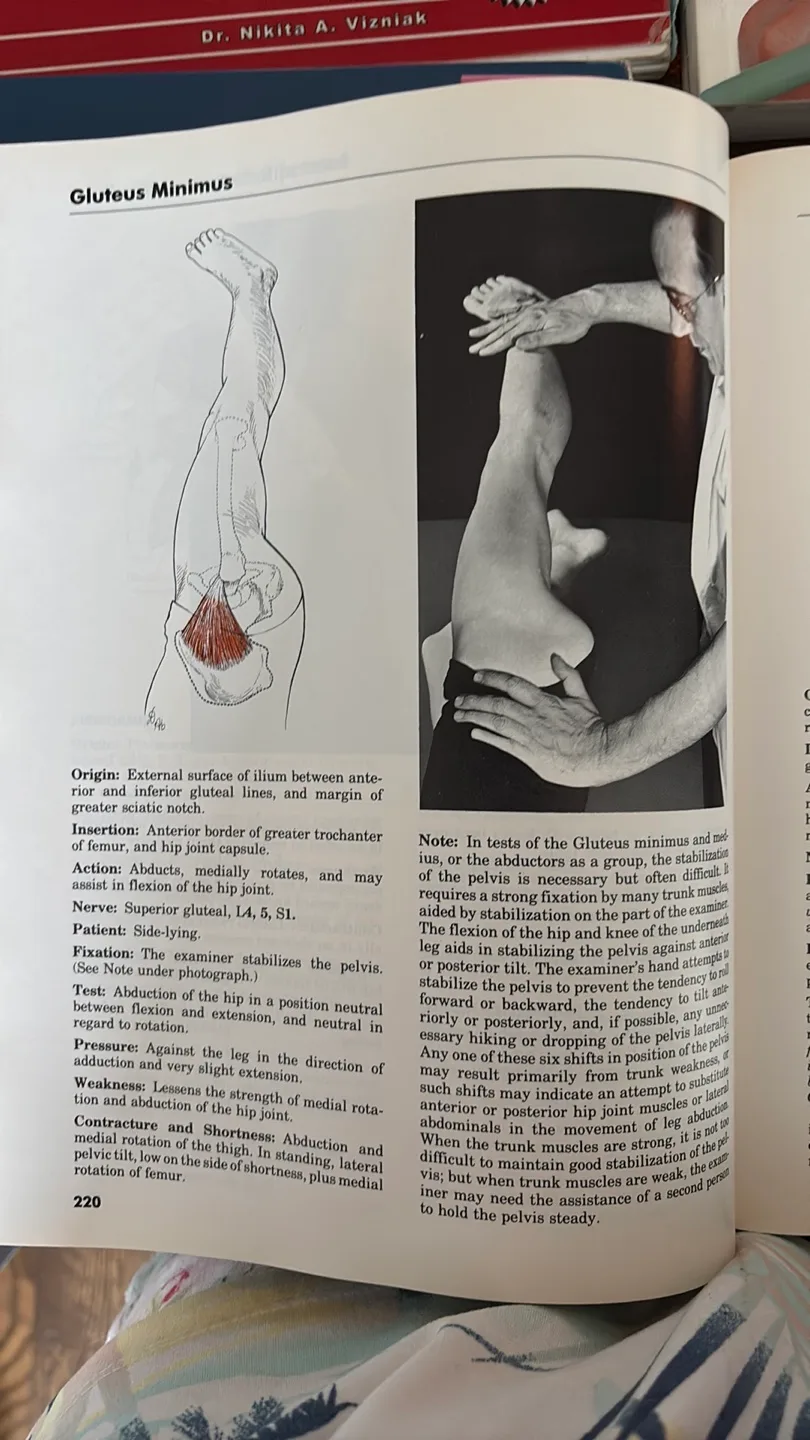 Anatomy Books Bundle and SAVE! image indicator(6)