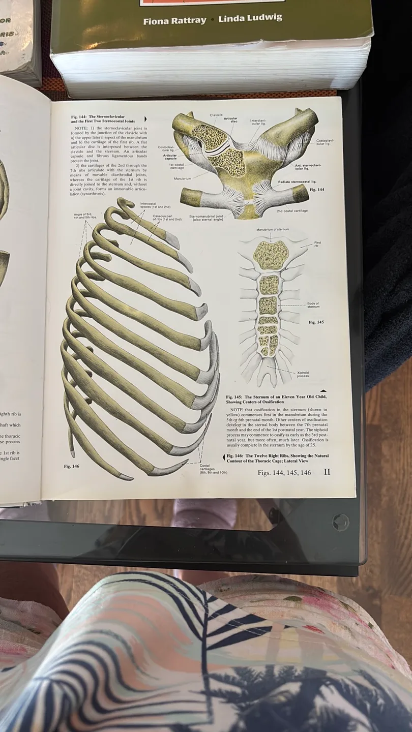 Anatomy Books Bundle and SAVE! image indicator(5)