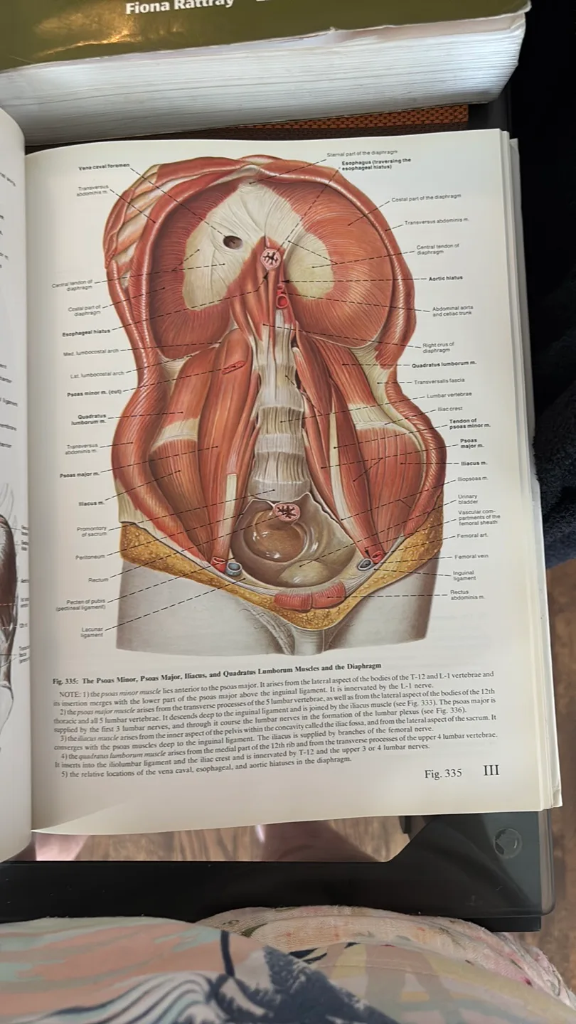 Anatomy Books Bundle and SAVE! image indicator(4)