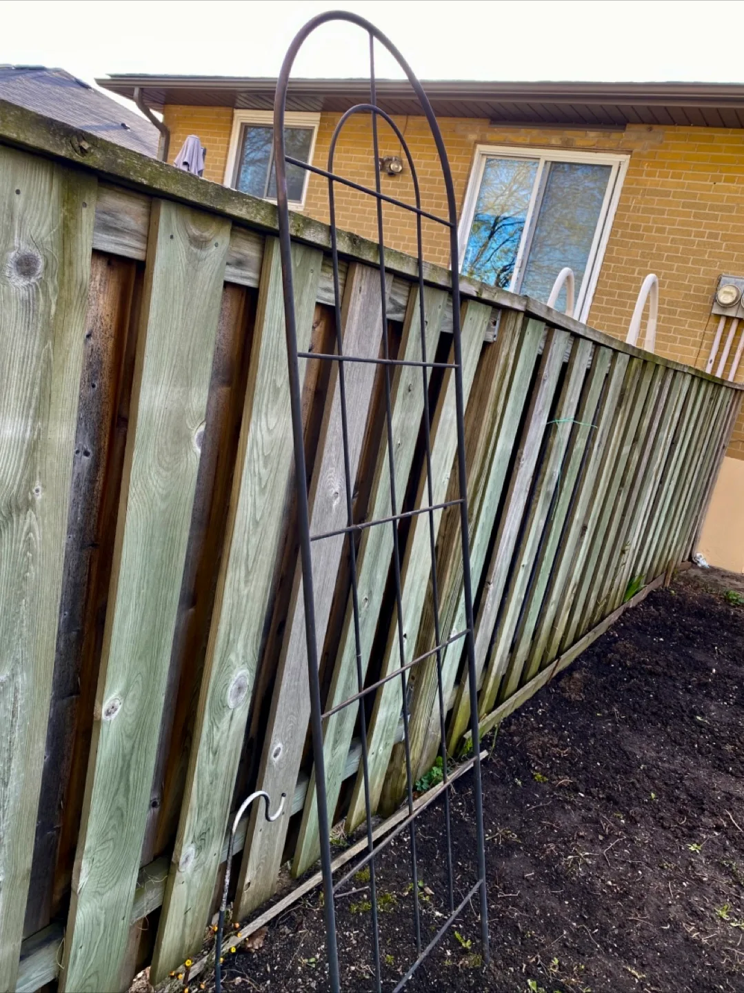 Iron trellis thumbnail